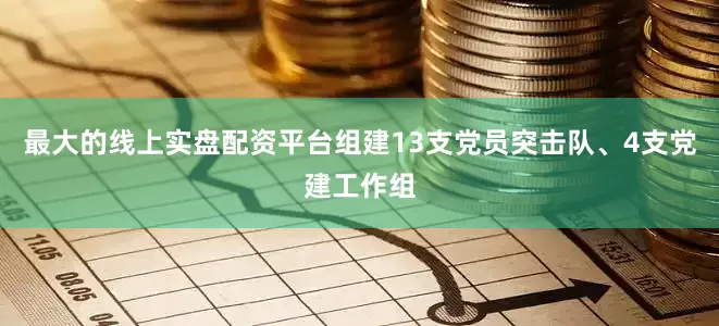 最大的线上实盘配资平台组建13支党员突击队、4支党建工作组
