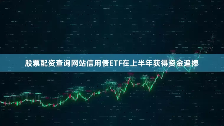 股票配资查询网站信用债ETF在上半年获得资金追捧