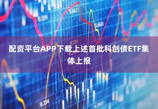 配资平台APP下载上述首批科创债ETF集体上报