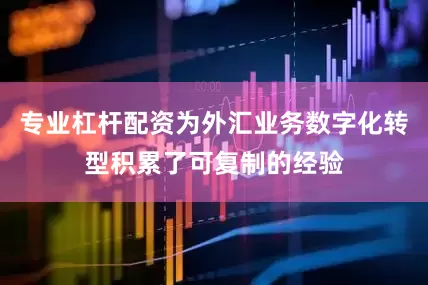专业杠杆配资为外汇业务数字化转型积累了可复制的经验