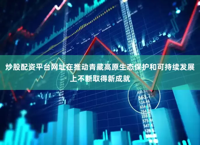 炒股配资平台网址在推动青藏高原生态保护和可持续发展上不断取得新成就