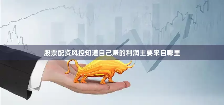股票配资风控知道自己赚的利润主要来自哪里