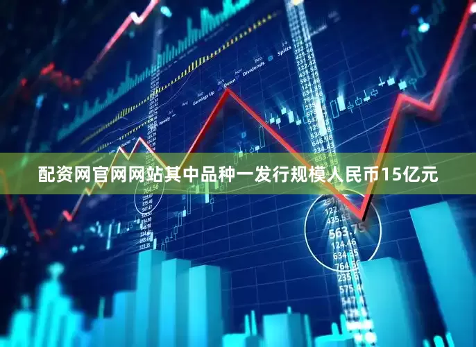 配资网官网网站其中品种一发行规模人民币15亿元