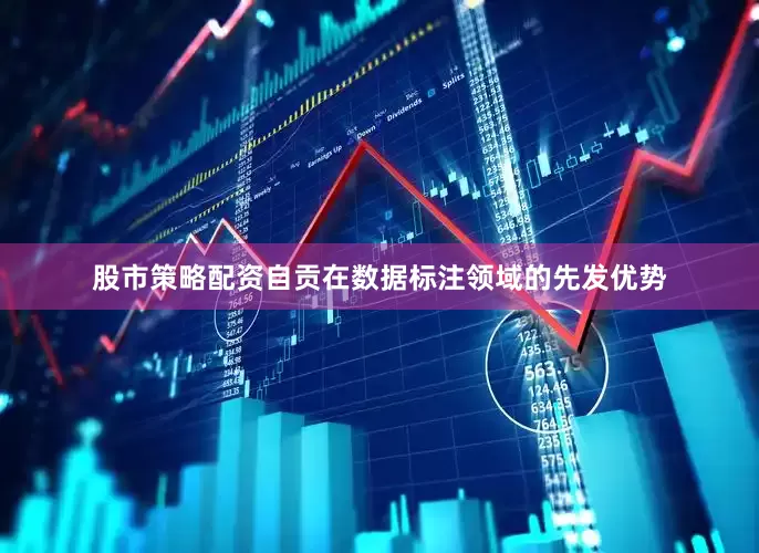 股市策略配资自贡在数据标注领域的先发优势